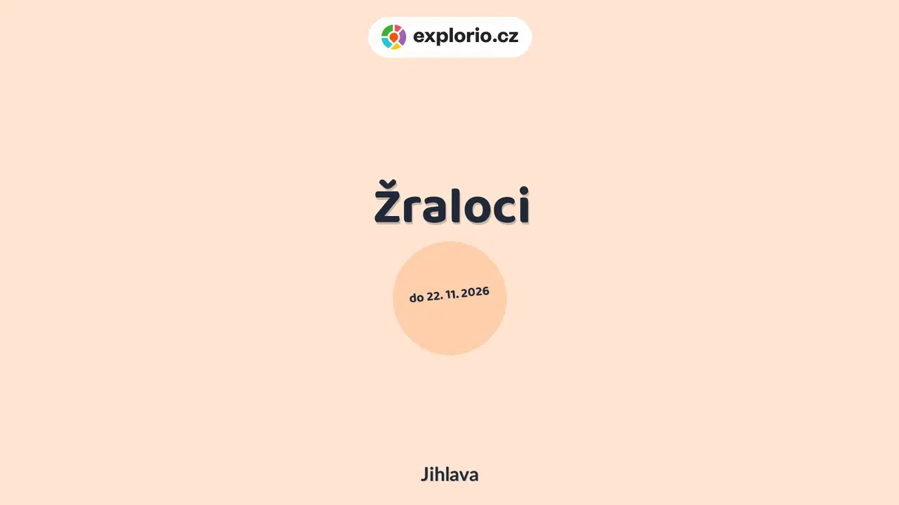 Žraloci – prohlídky a Muzea, Jihlava