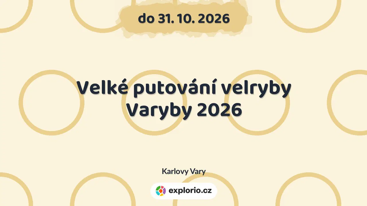 Velké putování velryby Varyby 2026 – prohlídky a Muzea, Karlovy Vary