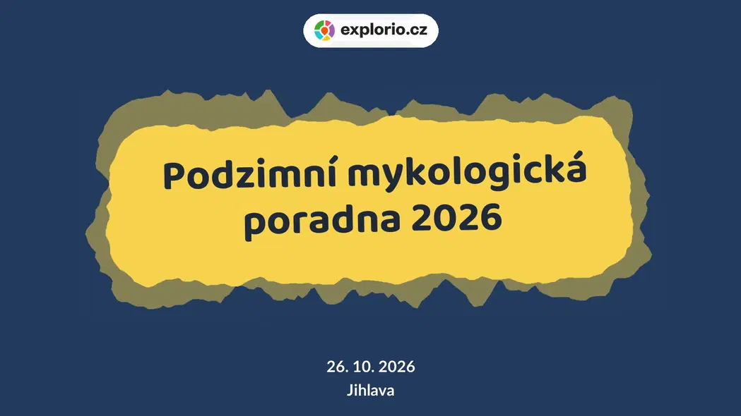 Podzimní mykologická poradna 2026 – prohlídky a Muzea, Jihlava