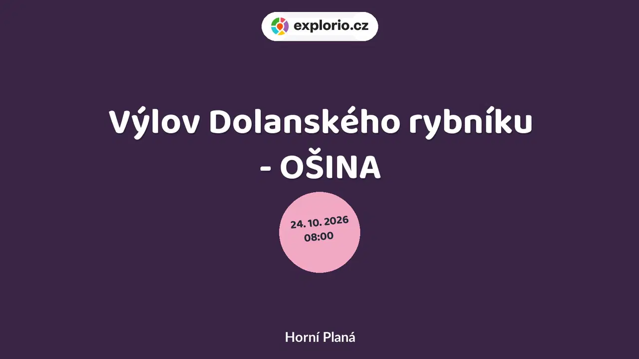 Výlov Dolanského rybníku - OŠINA – prohlídky a Muzea, Horní Planá