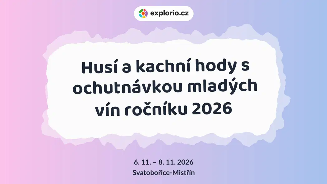 Husí a kachní hody s ochutnávkou mladých vín ročníku 2026 – festivaly a Slavnosti, Svatobořice-Mistřín