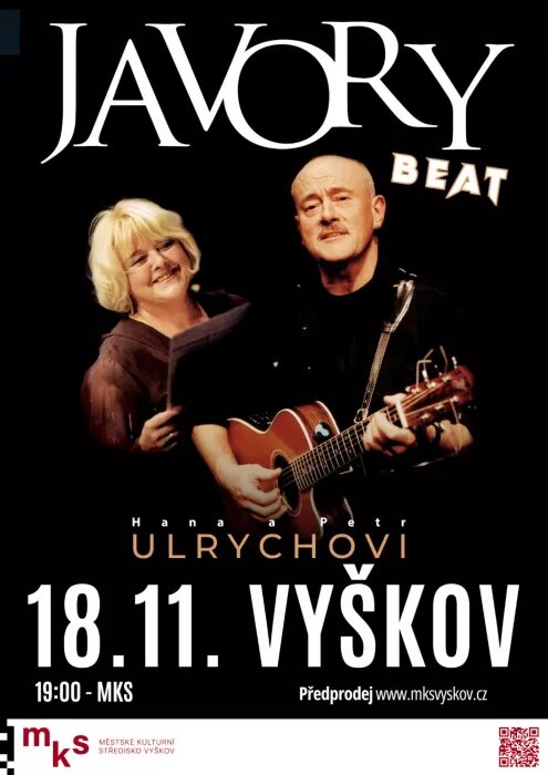 Javory Beat – divadlo, Hudba a Kino, Vyškov – fotka 2