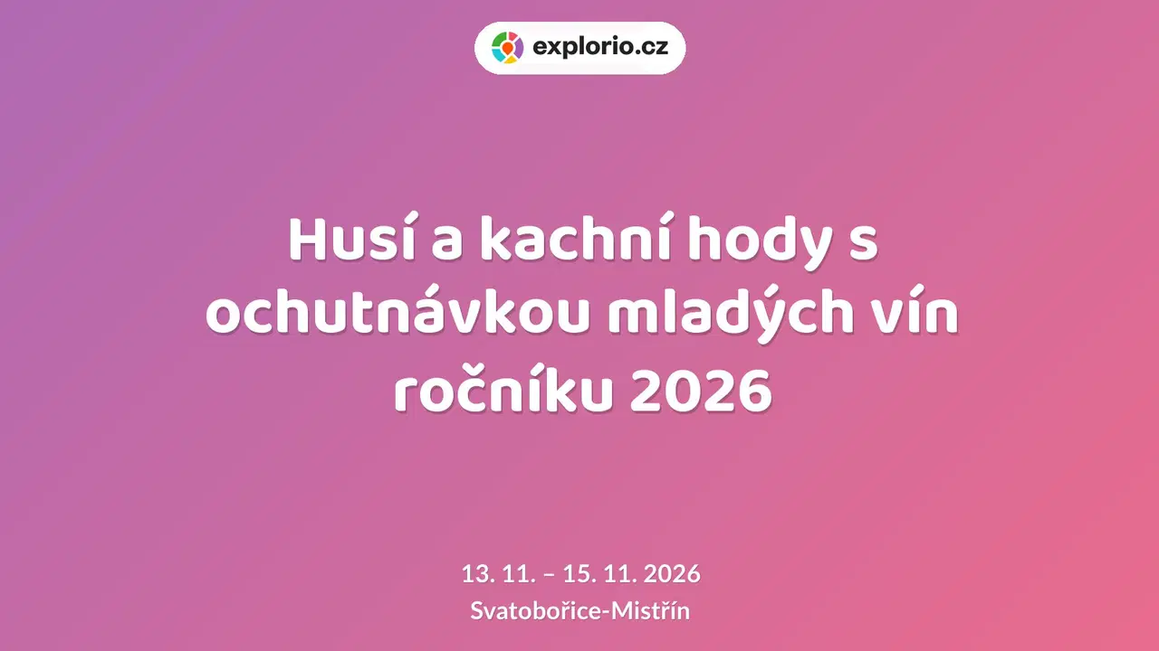 Husí a kachní hody s ochutnávkou mladých vín ročníku 2026 – festivaly a Slavnosti, Svatobořice-Mistřín