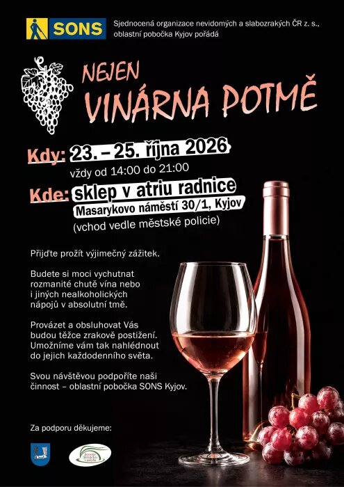Nejen vinárna potmě – prohlídky a Muzea, Kyjov – fotka 2