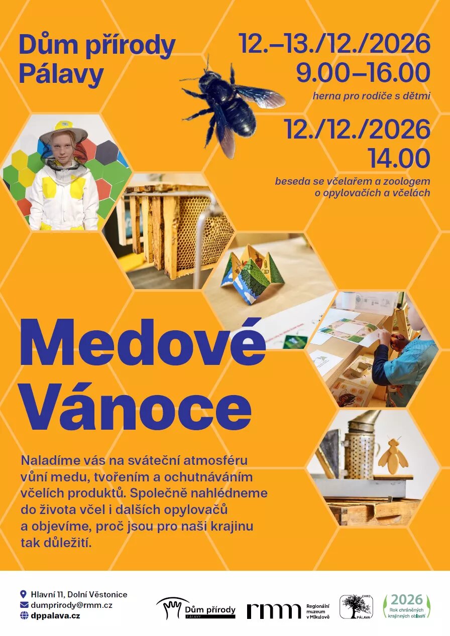 Medové Vánoce – prohlídky a Muzea, Dolní Věstonice – fotka 2