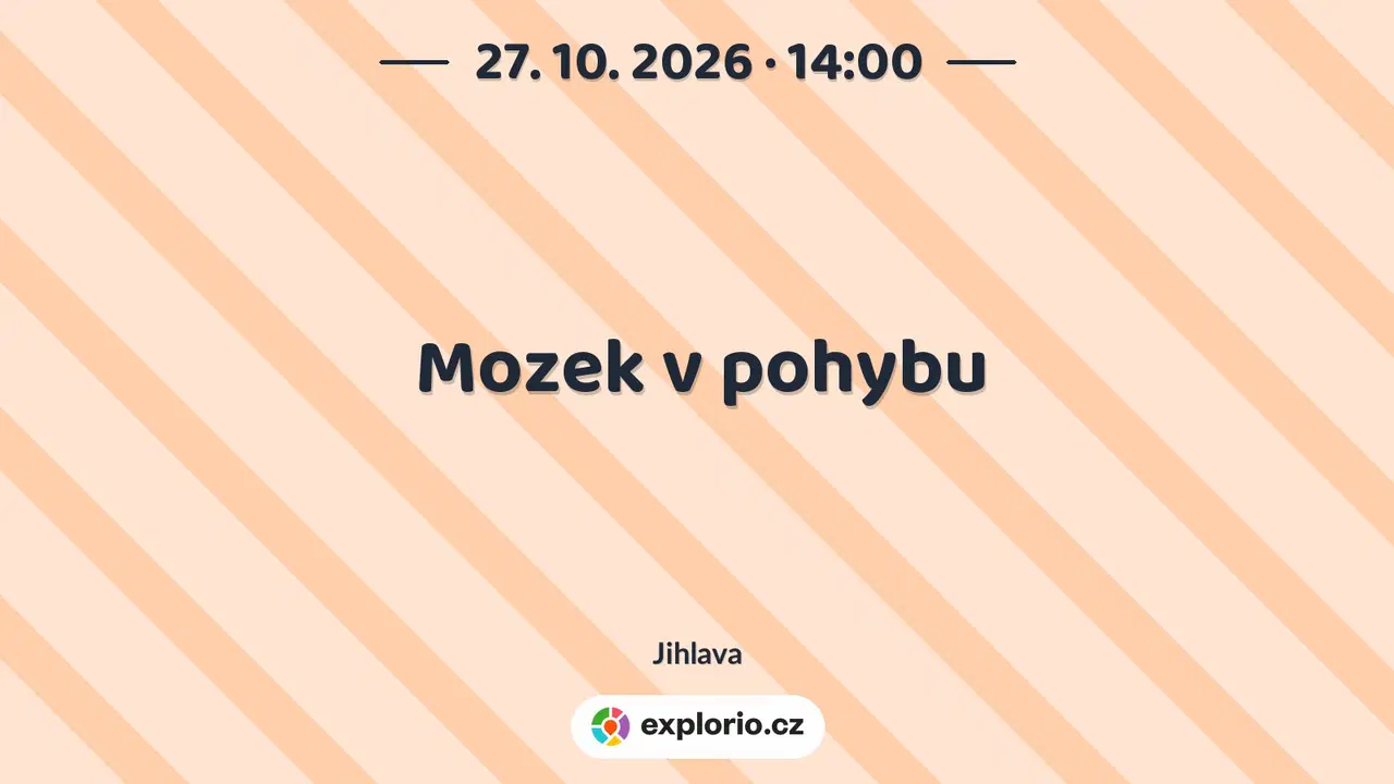 Mozek v pohybu – tvořivé dílny a Workshopy, Jihlava