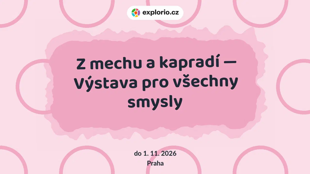 Z mechu a kapradí — Výstava pro všechny smysly – prohlídky a Muzea, Praha