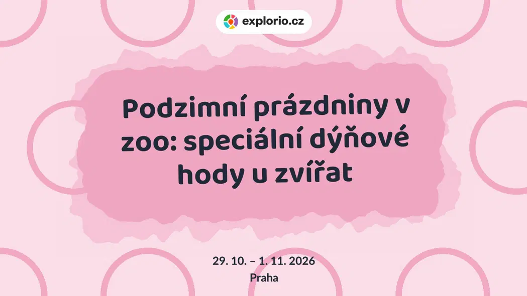 Podzimní prázdniny v zoo: speciální dýňové hody u zvířat – příroda a Zvířátka, Praha