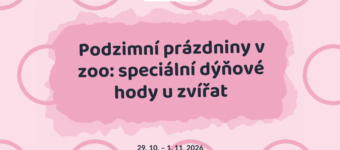 Podzimní prázdniny v zoo: speciální dýňové hody u zvířat – příroda a Zvířátka, Praha