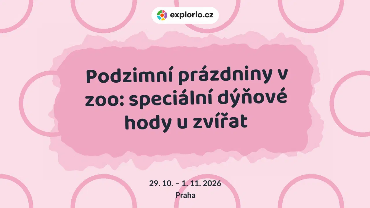 Podzimní prázdniny v zoo: speciální dýňové hody u zvířat – příroda a Zvířátka, Praha