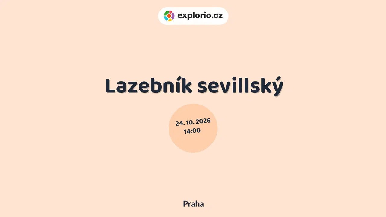 Lazebník sevillský – divadlo, Hudba a Kino, Praha