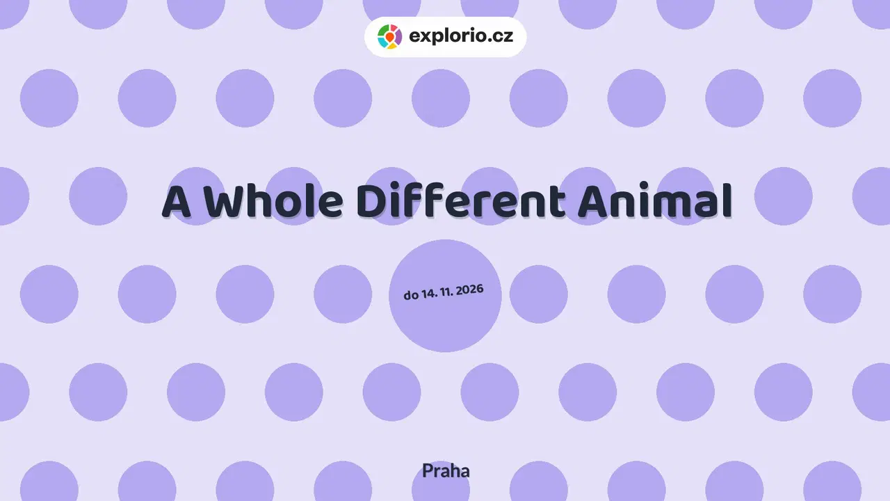 A Whole Different Animal – prohlídky a Muzea, Praha