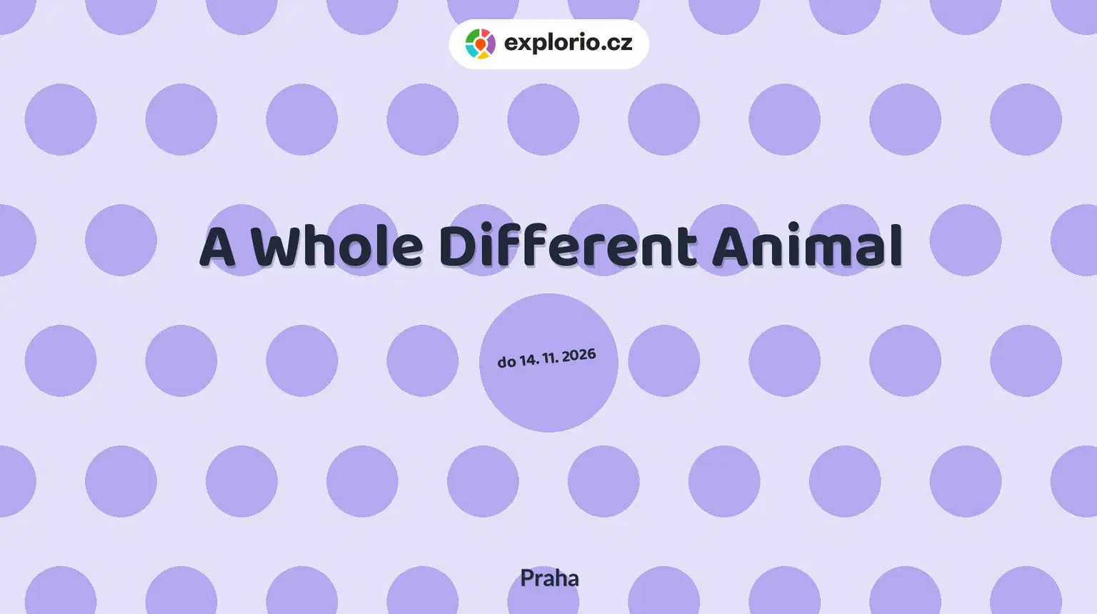 A Whole Different Animal – prohlídky a Muzea, Praha