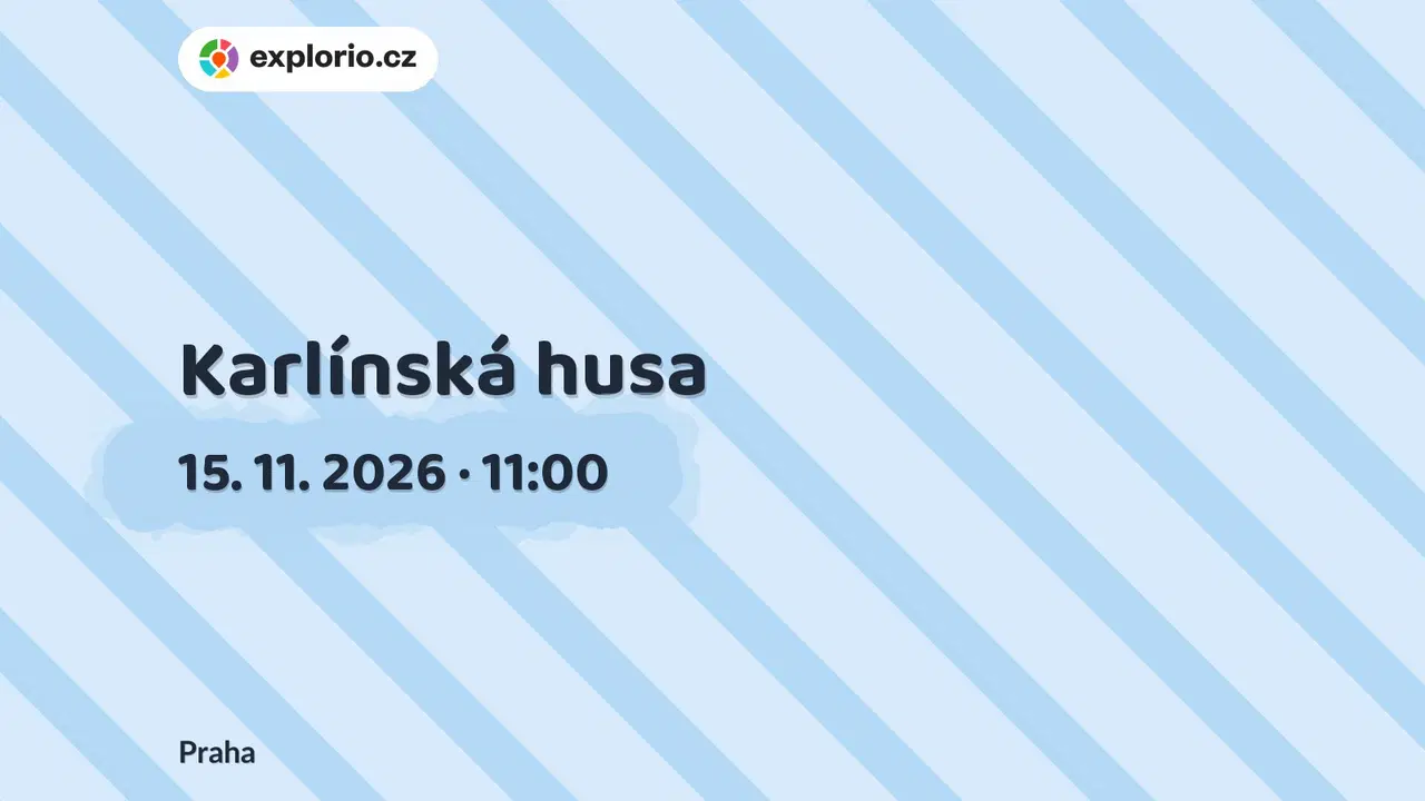 Karlínská husa – festivaly a Slavnosti, Praha