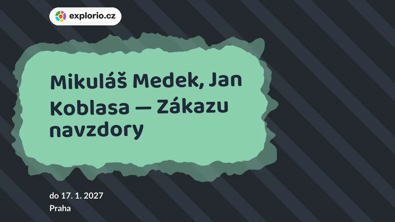 Mikuláš Medek, Jan Koblasa — Zákazu navzdory – prohlídky a Muzea, Praha