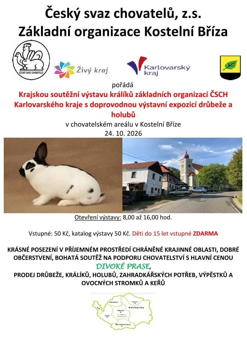 Krajská soutěžní výstava králíků základních organizací ČSCH Karlovarského kraje – prohlídky a Muzea, Březová – fotka 2