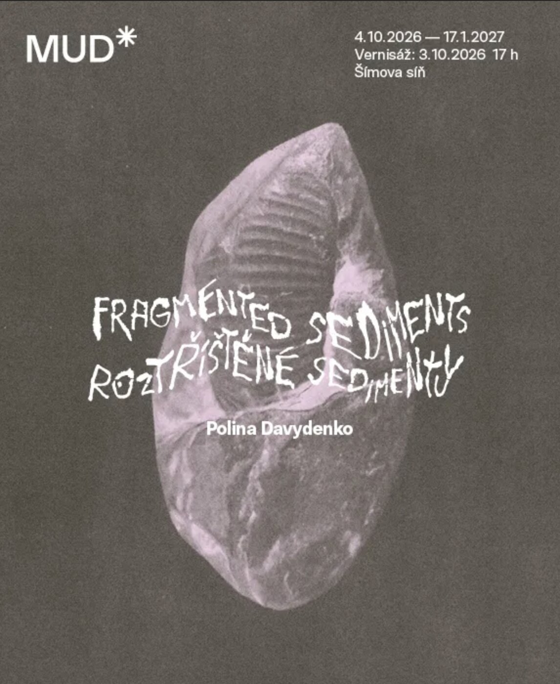 Roztříštěné sedimenty – prohlídky a Muzea, Benešov – fotka 2