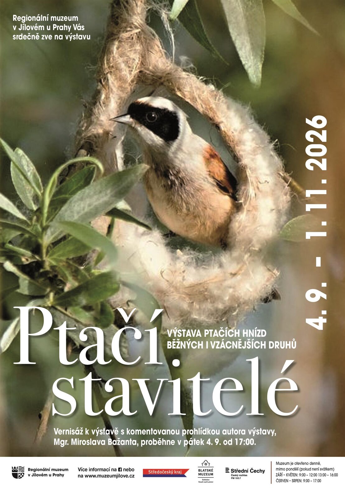 Ptačí stavitelé – prohlídky a Muzea, Jílové u Prahy – fotka 2