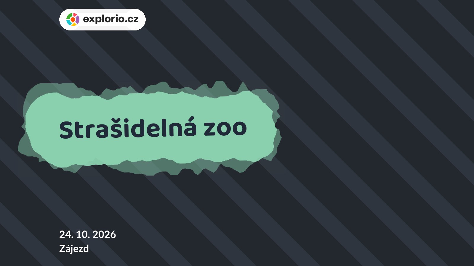 Strašidelná zoo – festivaly a Slavnosti, Zájezd