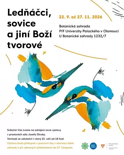 Ledňáčci, sovice a jiní Boží tvorové – prohlídky a Muzea, Olomouc – fotka 2
