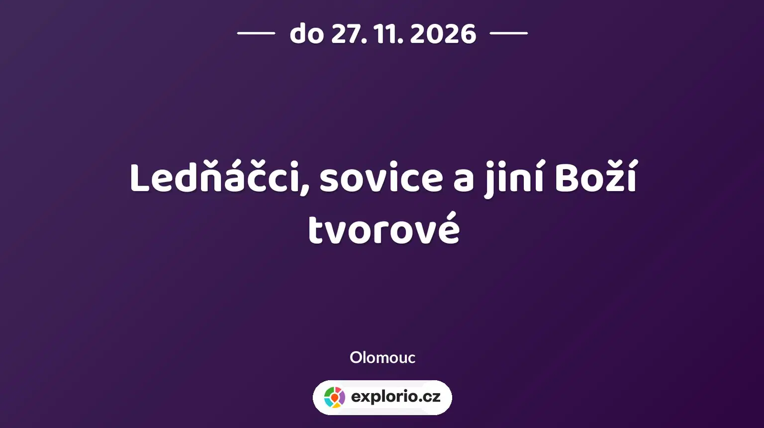 Ledňáčci, sovice a jiní Boží tvorové – prohlídky a Muzea, Olomouc