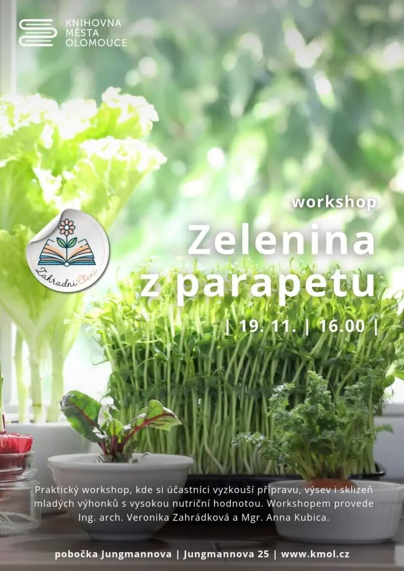 Zelenina z parapetu – tvořivé dílny a Workshopy, Olomouc – fotka 2