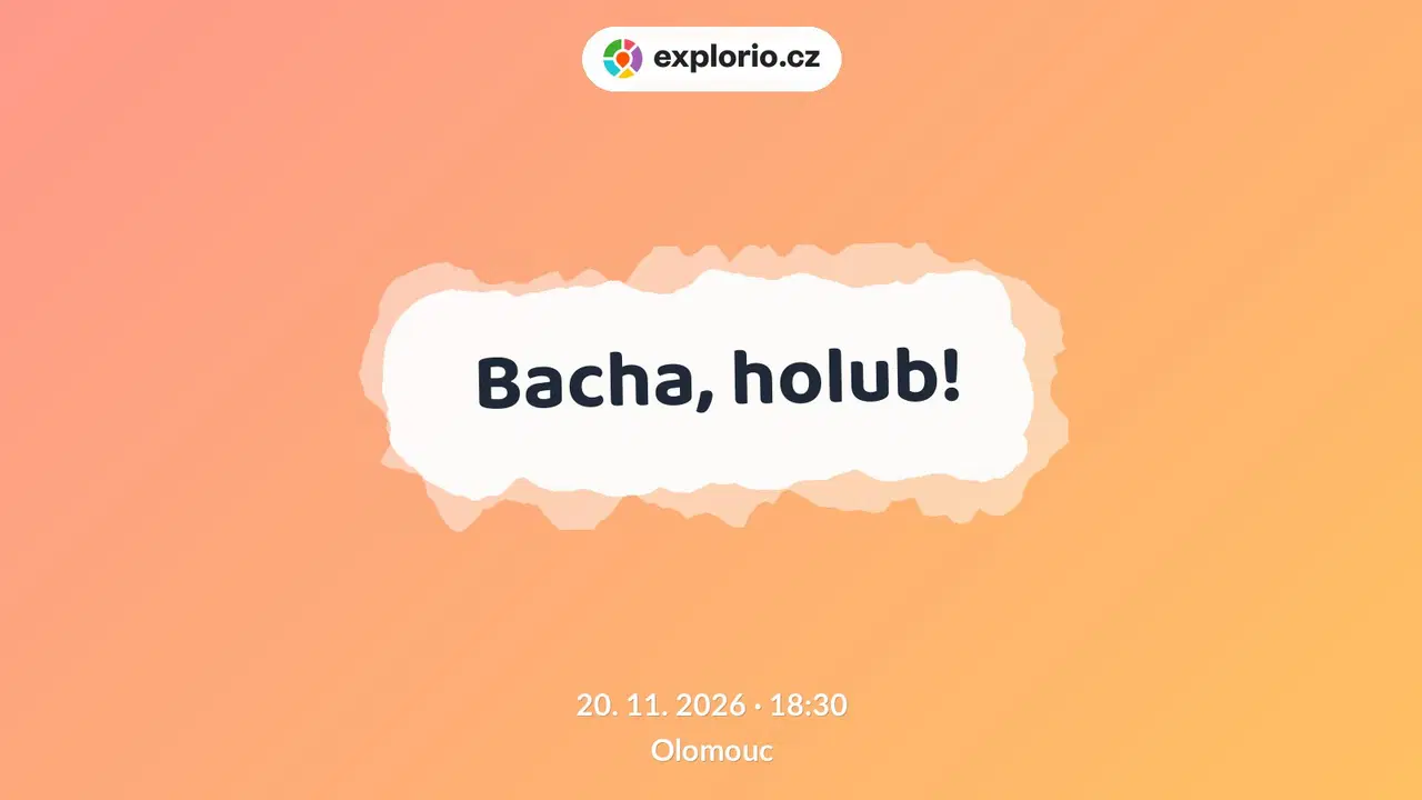 Bacha, holub! – divadlo, Hudba a Kino, Olomouc