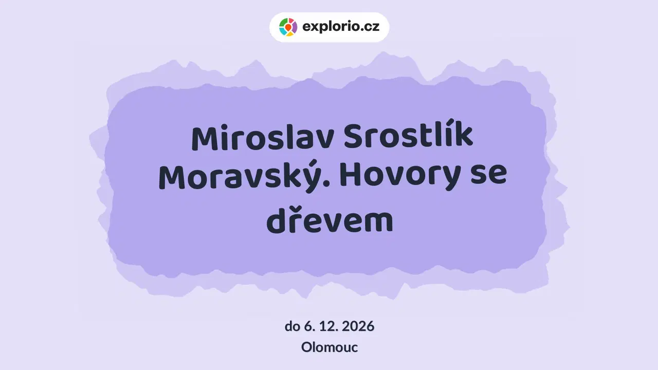 Miroslav Srostlík Moravský. Hovory se dřevem – prohlídky a Muzea, Olomouc