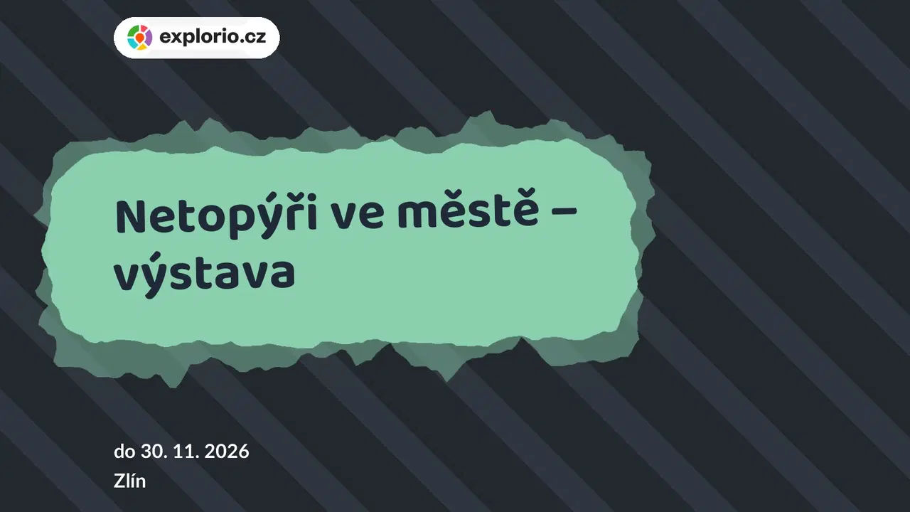 Netopýři ve městě – výstava – prohlídky a Muzea, Zlín