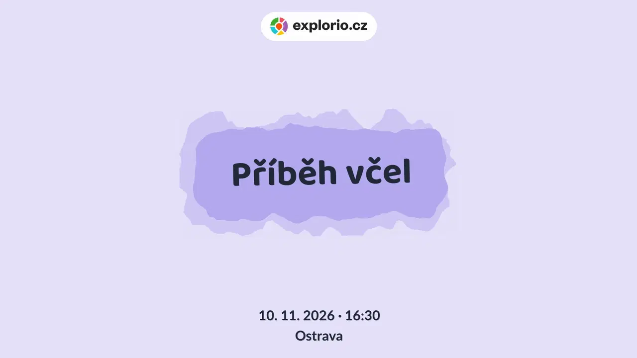 Příběh včel – prohlídky a Muzea, Ostrava