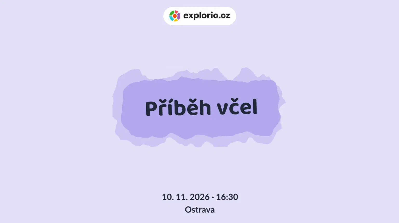 Příběh včel – prohlídky a Muzea, Ostrava