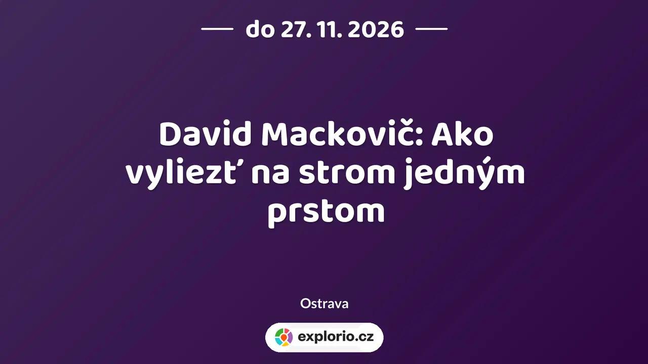 David Mackovič: Ako vyliezť na strom jedným prstom – prohlídky a Muzea, Ostrava