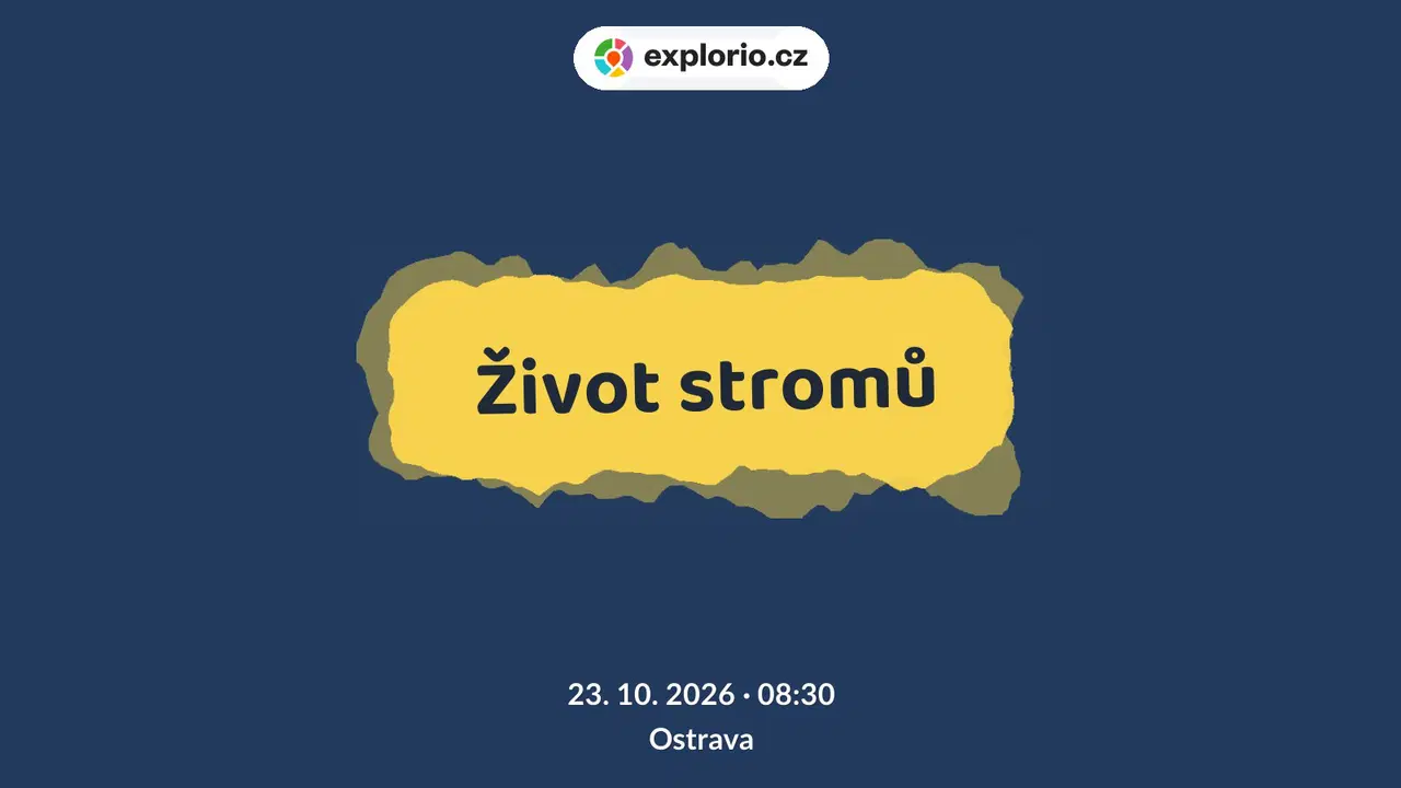 Život stromů – divadlo, Hudba a Kino, Ostrava