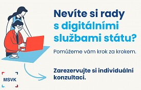 Digi služby - lidopadové individuální konzultace – tvořivé dílny a Workshopy, Ostrava – fotka 2