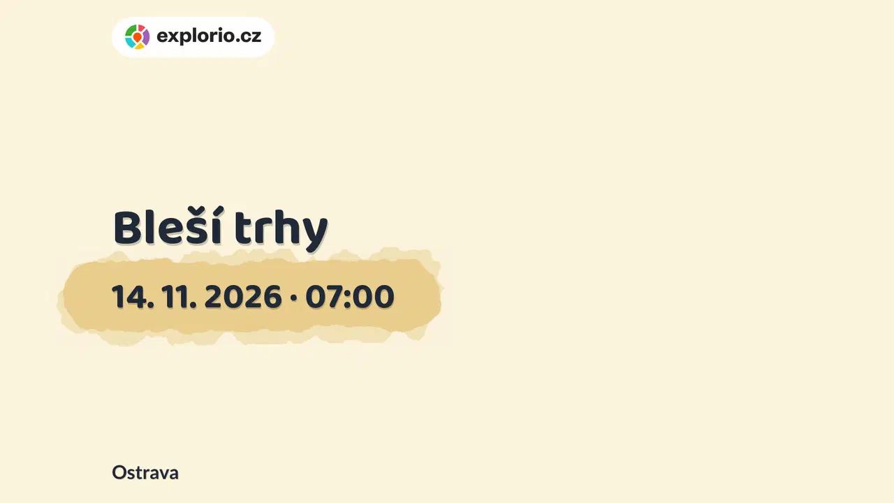 Bleší trhy – prohlídky a Muzea, Ostrava