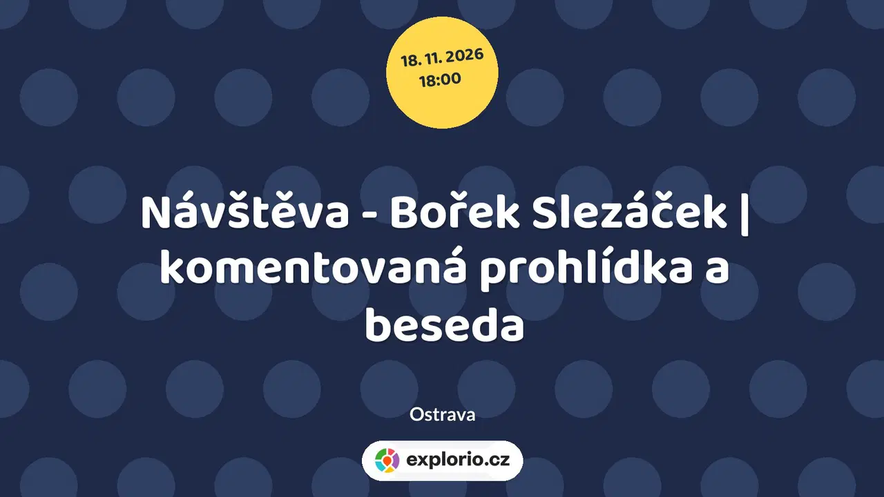 Návštěva - Bořek Slezáček | komentovaná prohlídka a beseda – prohlídky a Muzea, Ostrava