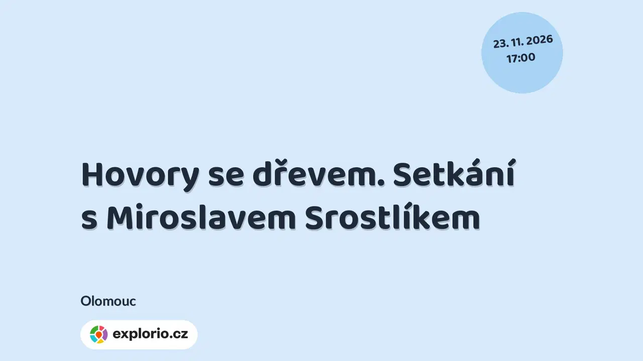 Hovory se dřevem. Setkání s Miroslavem Srostlíkem – tvořivé dílny a Workshopy, Olomouc
