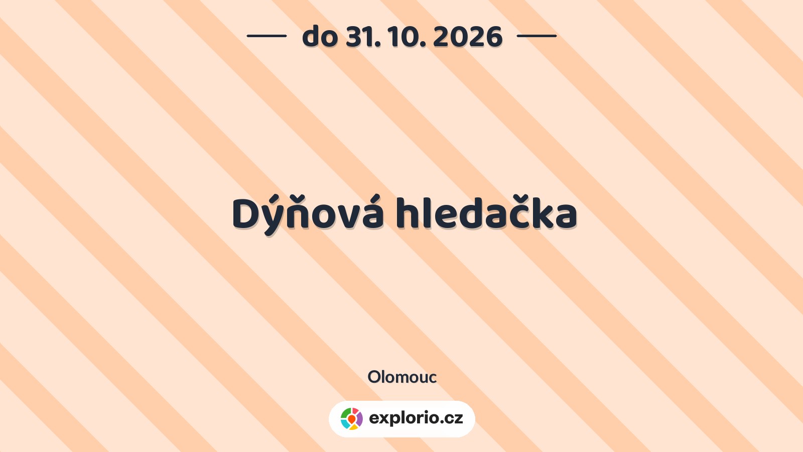 Dýňová hledačka – sport a Pohyb, Olomouc