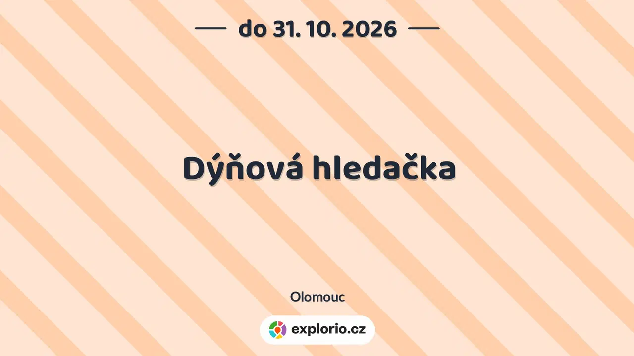 Dýňová hledačka – sport a Pohyb, Olomouc
