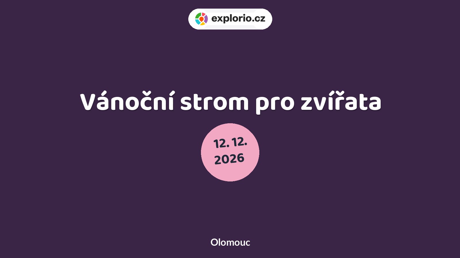 Vánoční strom pro zvířata – příroda a Zvířátka, Olomouc
