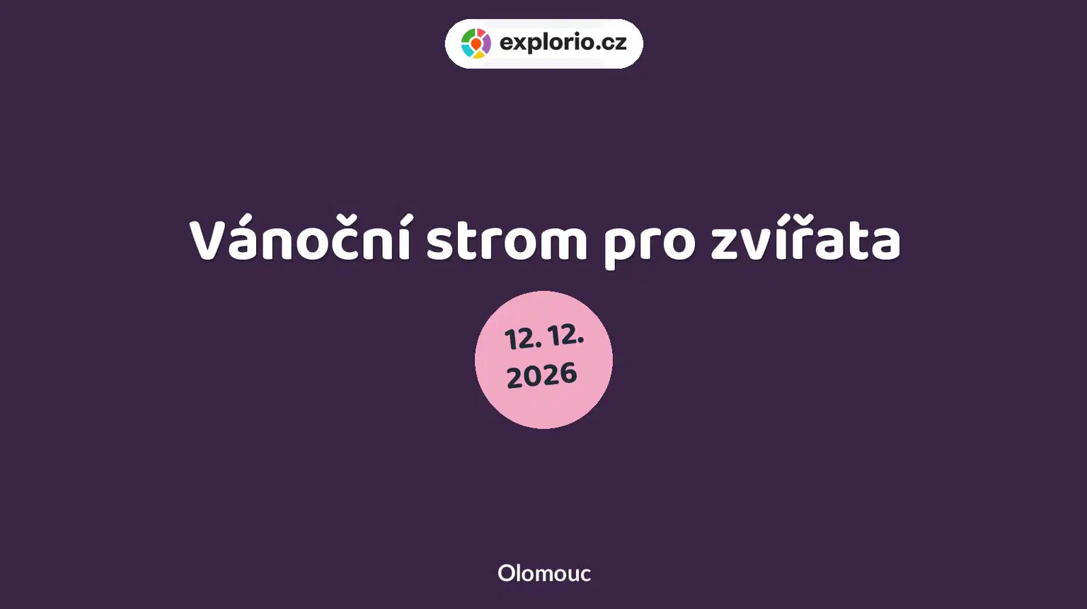 Vánoční strom pro zvířata – příroda a Zvířátka, Olomouc