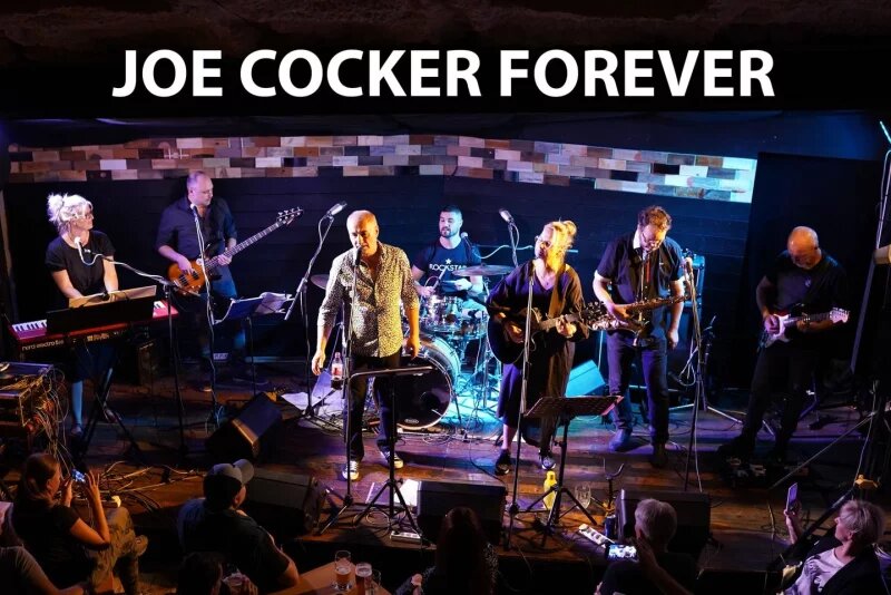 Joe Cocker Forever – divadlo, Hudba a Kino, Zlín – fotka 2