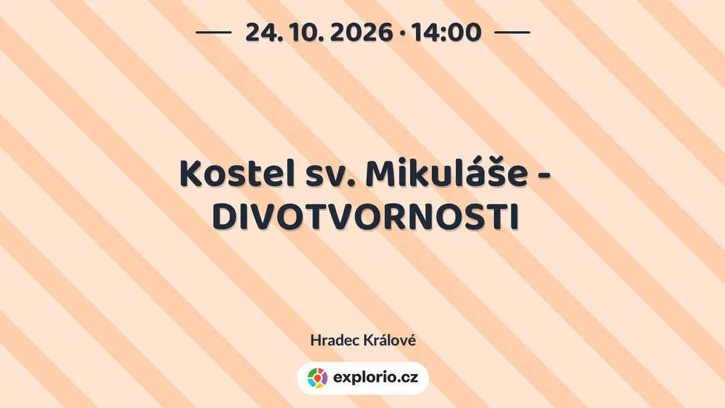 Kostel sv. Mikuláše - DIVOTVORNOSTI – prohlídky a Muzea, Hradec Králové