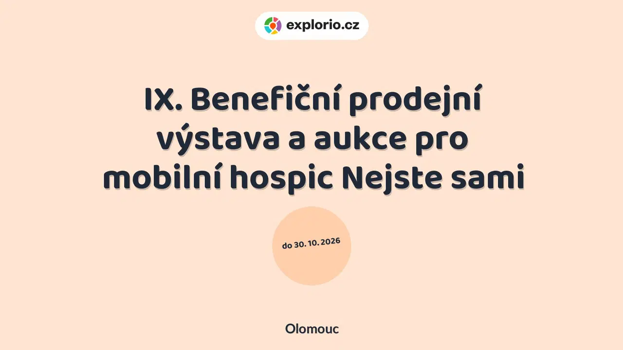IX. Benefiční prodejní výstava a aukce pro mobilní hospic Nejste sami – prohlídky a Muzea, Olomouc