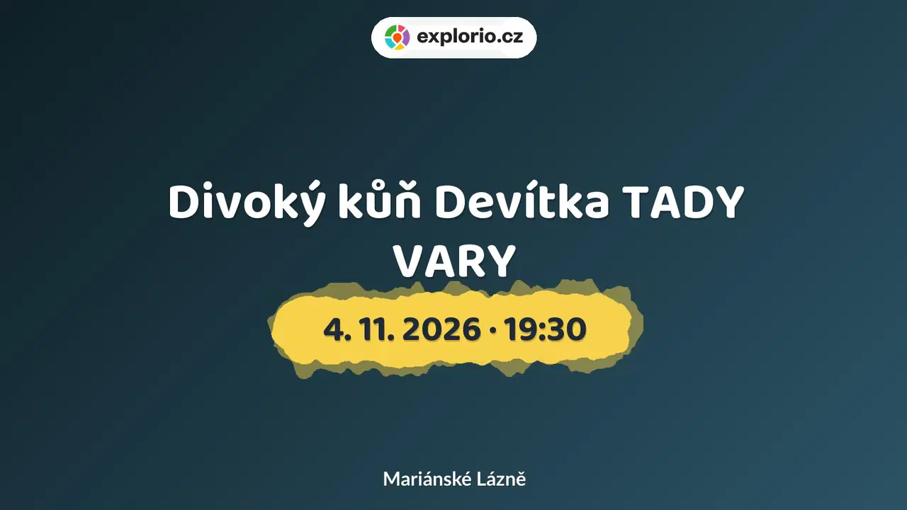Divoký kůň Devítka TADY VARY – divadlo, Hudba a Kino, Mariánské Lázně