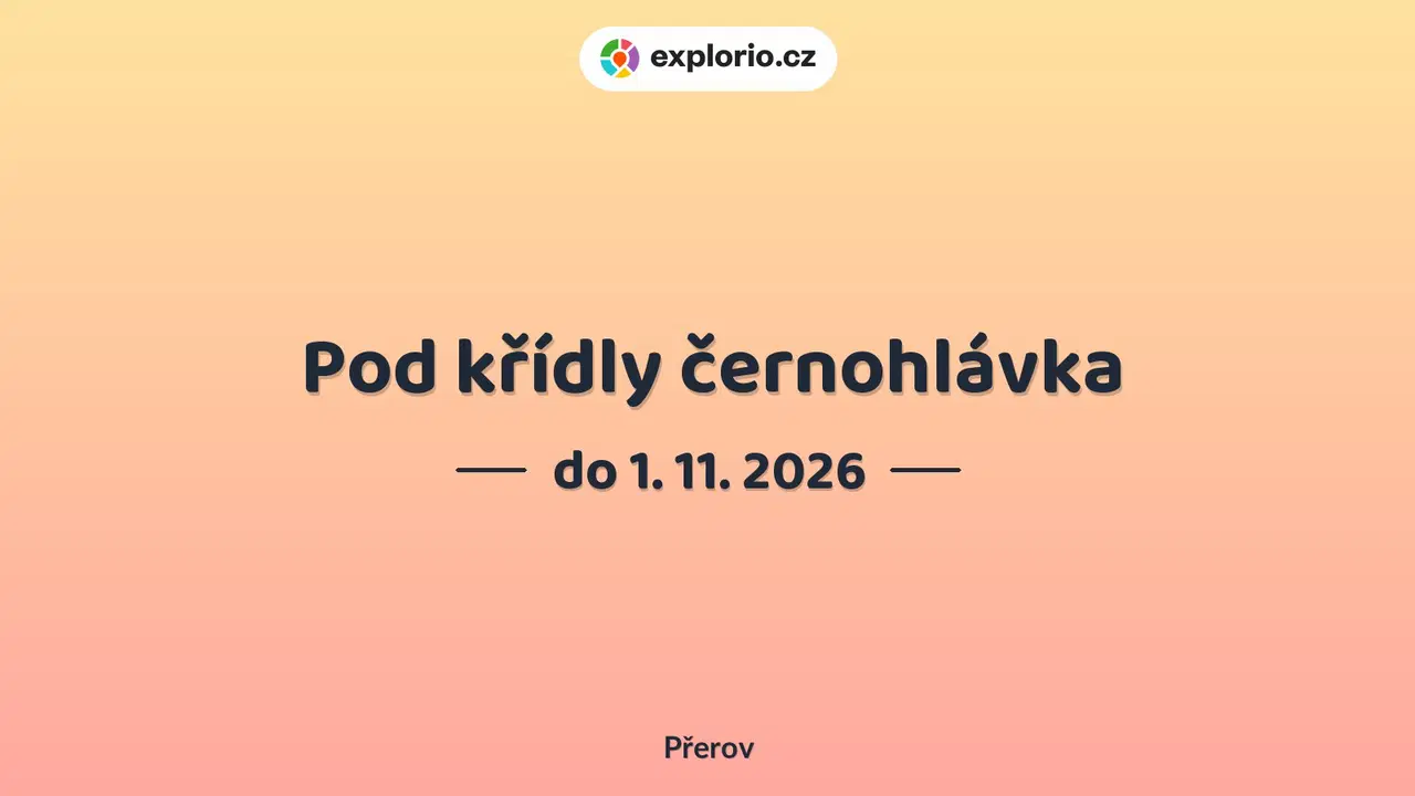 Pod křídly černohlávka – prohlídky a Muzea, Přerov
