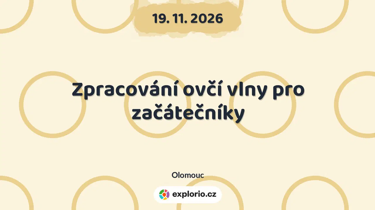 Zpracování ovčí vlny pro začátečníky – tvořivé dílny a Workshopy, Olomouc