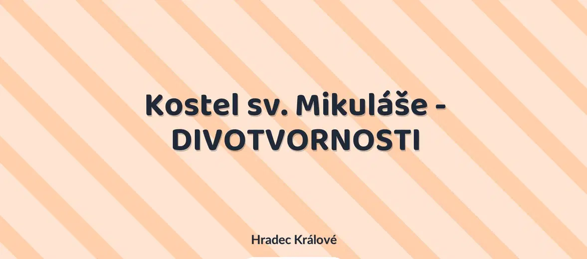 Kostel sv. Mikuláše - DIVOTVORNOSTI – prohlídky a Muzea, Hradec Králové