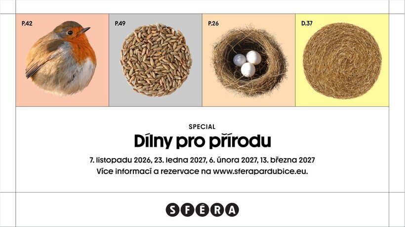 Dílny pro přírodu: Krmítka pro ptáčky – tvořivé dílny a Workshopy, Pardubice – fotka 2