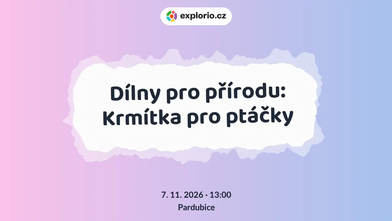 Dílny pro přírodu: Krmítka pro ptáčky – tvořivé dílny a Workshopy, Pardubice